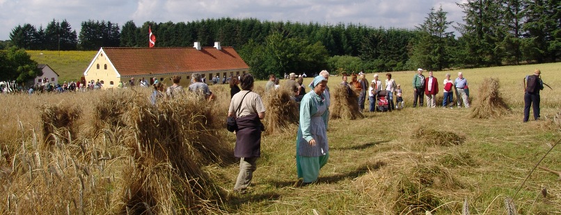 Husmandsstedet i Mosbjerg er beboet