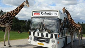 Givskud Zoo og safaripark Give